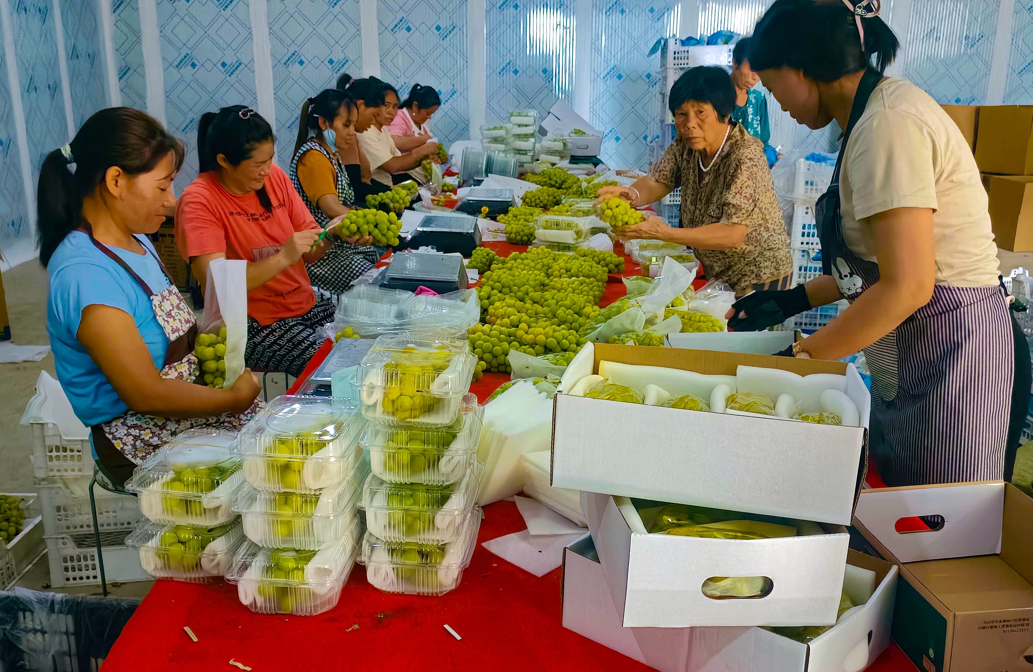 微信图片_20240818215205